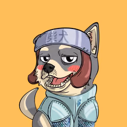PUPPY #7964