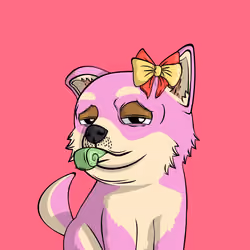 PUPPY #5765
