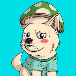 PUPPY #8823