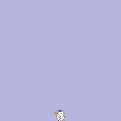 7163