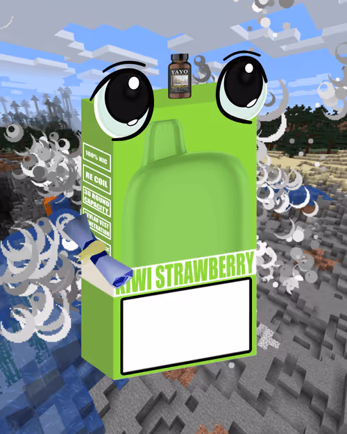 Item #533 Media