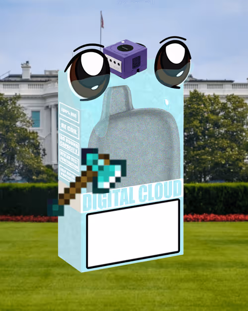 Item #550 Media