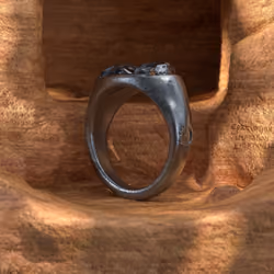 "Soul Glow" Titanium Ring of the Twins