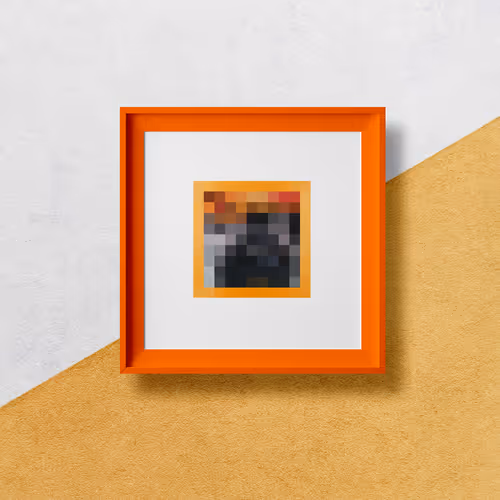 Item #367 Media