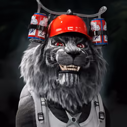 Lion #2086
