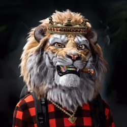 Lion #1654