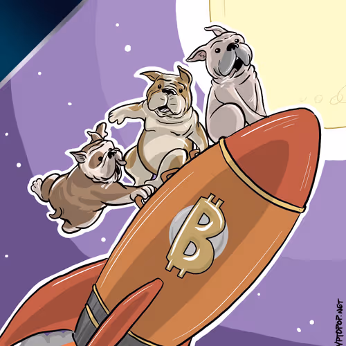 Curiocardswrapper