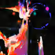 77