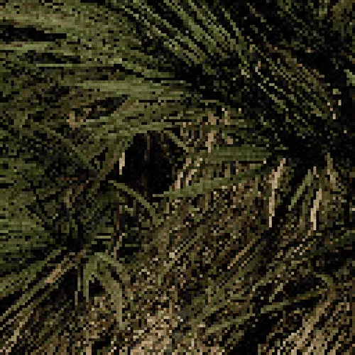 Item #4290080323 Media