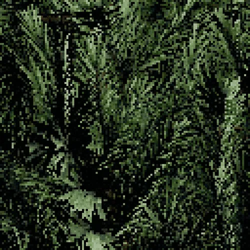 Item #3164682989 Media