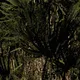 2202642091