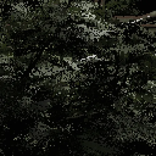 Item #1167711512 Media