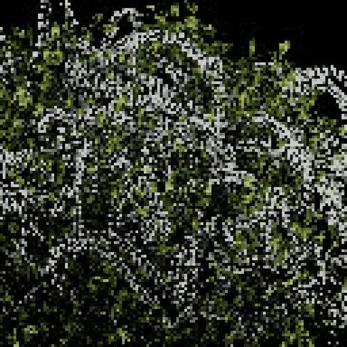 Item #2429716807 Media