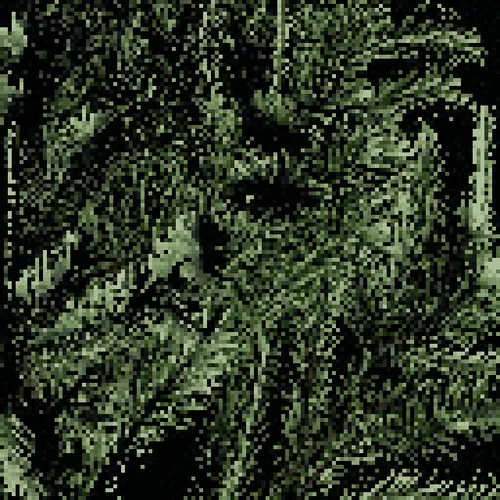 Item #3222641695 Media