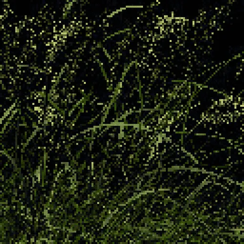 Item #3667944926 Media