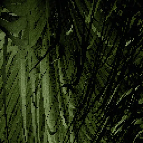 Item #544161531 Media