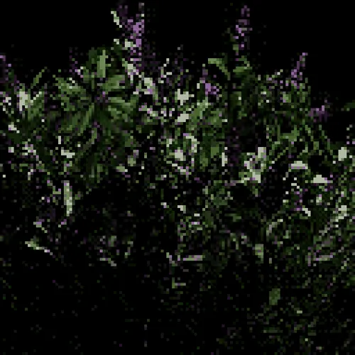 Item #4168578279 Media