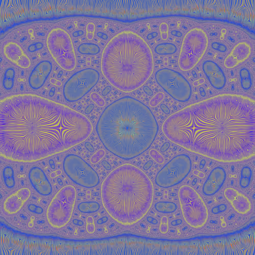 FRACTIS #28
