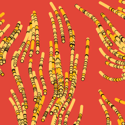 Snakes By Eros