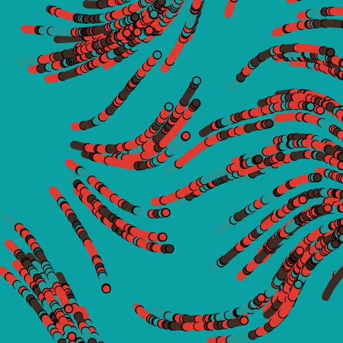 Snakes By Eros