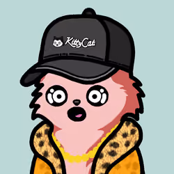 KittyCat1113