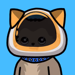 KittyCat2896