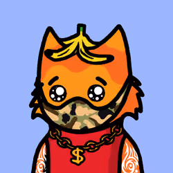 KittyCat3660