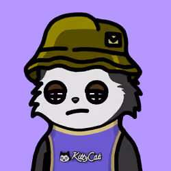 KittyCat3625
