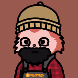KittyCat3206