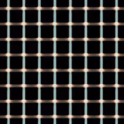 Grid Illusion NFT  #330