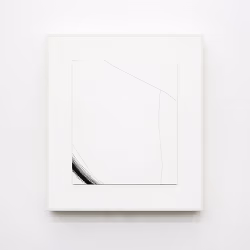 81