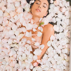 Petal Love II / 2016