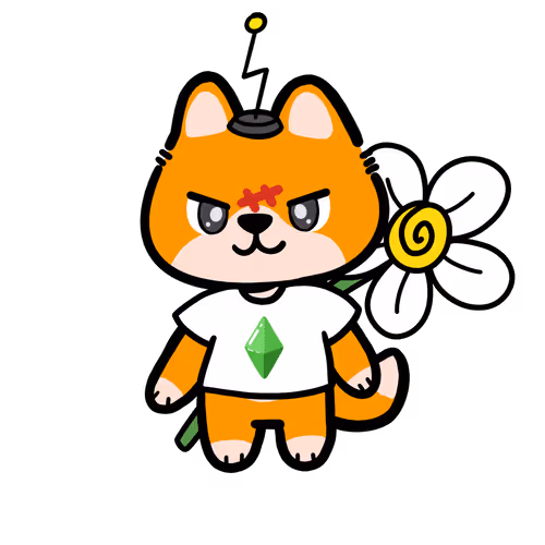 Shabu Town Shibas