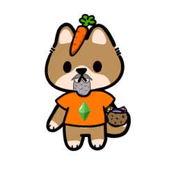 Shabu Town Shiba #6494