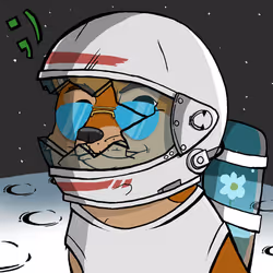 6311