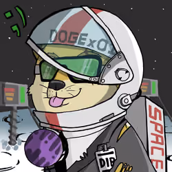 DogeX#808