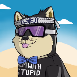 DogeX#1305