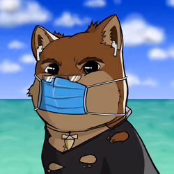 DogeX#6032