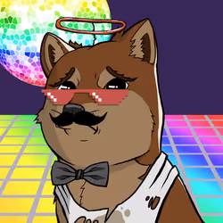 DogeX#2165
