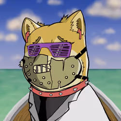 DogeX#9109