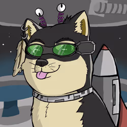 6338