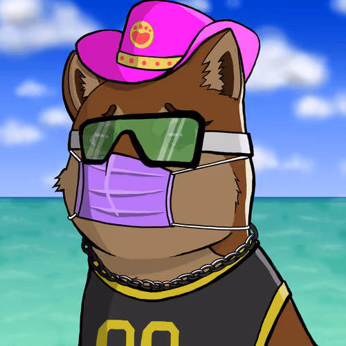 DogeX#4980