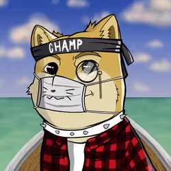585