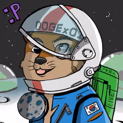 DogeX#9049