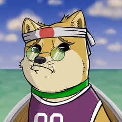 DogeX#794
