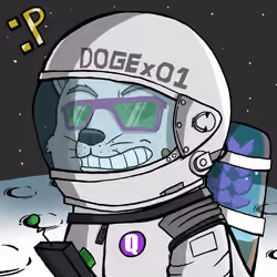 DogeX#3366