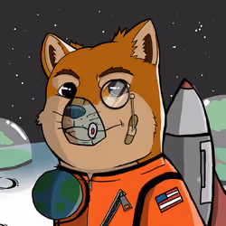 DogeX#7045