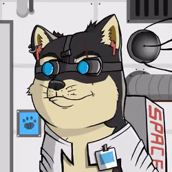 DogeX#1027
