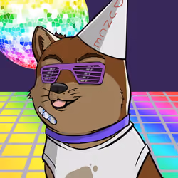 DogeX#4572