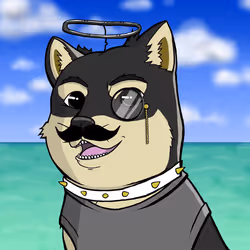 DogeX#2357